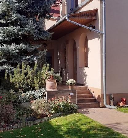 فندق Kenguru Panzio Hódmezővásárhely المظهر الخارجي الصورة